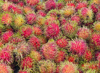 Close-up Fresh of Rambutan Thai fruit. Organic Rambutan pile from local agriculture farm. The pile of Rambutan at the market in Thailand. Rambutan background.