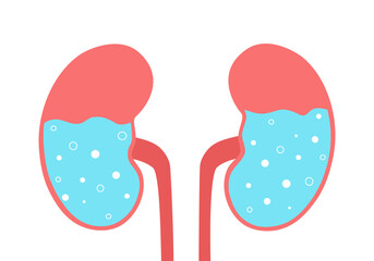 Kidneys with water in flat design. Drink clean water for health concept.