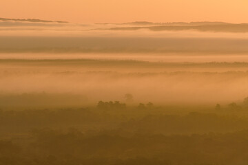 Obraz premium 釧路湿原を流れる霧（北海道・鶴居村） 