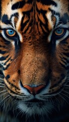 close up shot of a tiger, Tiger Portrait, Generative Ai