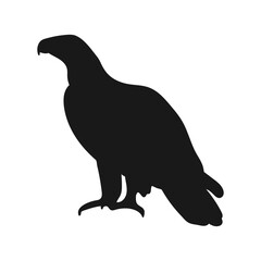 Eagle silhouette. Isolated icon on a white background
