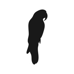 Parrot Silhouette. Isolated Icon On A White Background