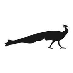 Peacock. Silhouette. Isolated icon on a white background