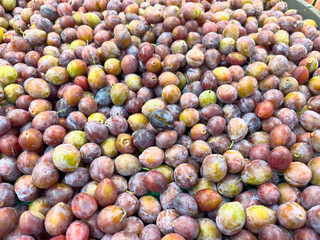 A view of a large pile of plums, on display at a local grocery store.