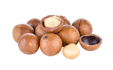 Macadamia nut on transparent png
