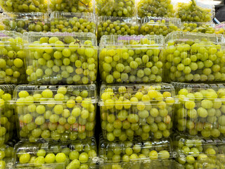 A view of several plastic containers of green table grapes, on display at a local grocery store.