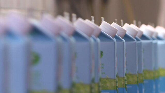 A line of dairy products. Packages of dairy products are moved along a conveyor line at the factory. Production conveyor belt at the dairy plant.