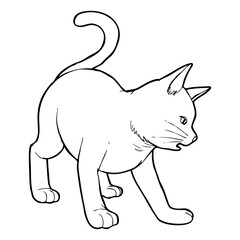 cat sketch illustration