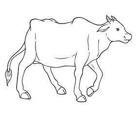 cow outline vector illustration