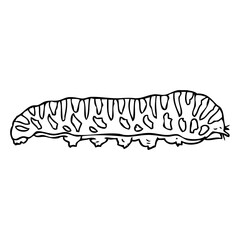 caterpillar line vector illustration