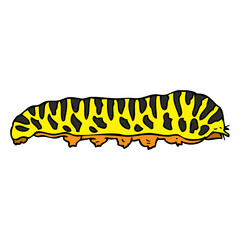 caterpillar vector illustration