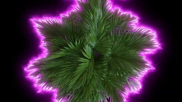 A lilac haze around a wavering palm tree.