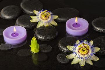 Beautiful spa concept of blooming passiflora flower, candles on zen basalt stones with drops in dark water