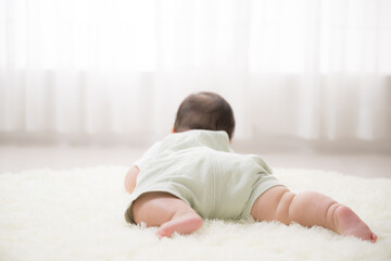 baby's crawling back view, cute and precious, copy space