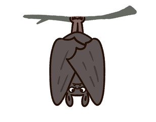 ぶら下がるかわいいコウモリ