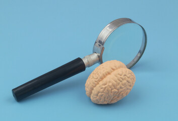 Human brain model and magnifying glass on blue background