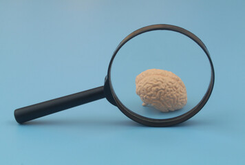 Human brain under review. Magnifying glass and brain model on blue background.