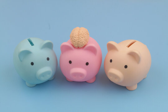 Colored piggy banks on blue background, one piggy bank with human brain.
