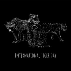 International Tiger Day hand drawing vector isolated on black background.