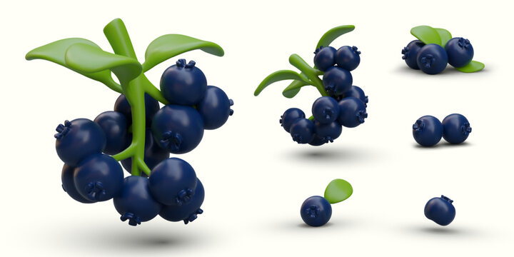 Set of 3D blueberries. Ripe blue berries in bunches and individually. Twigs with leaves and berries, view from different sides. Isolated vector image with shadows