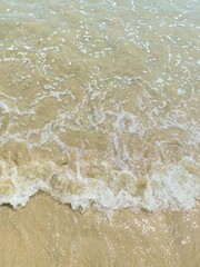 Sea in summer