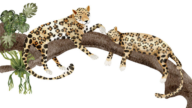 Leopard  on tree bruch watercolor painting