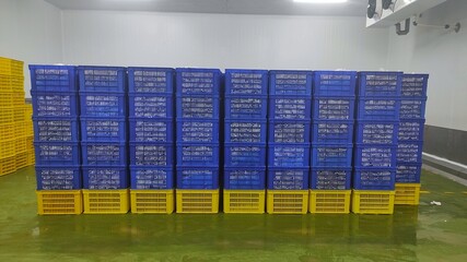 The coconut meat in the freezer room of factory to keep the quality of it - obrazy, fototapety, plakaty