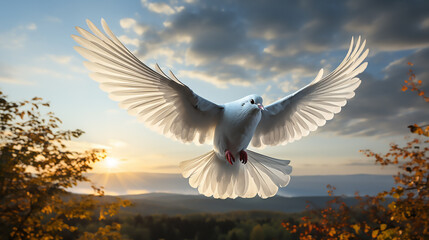 Obraz premium A freedom dove spreading its wings in the sky