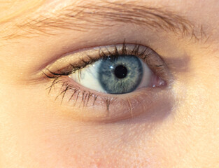 close-up shot of blue female eye with long eyelashes