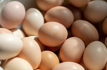 Eggs in a box. Close-up.