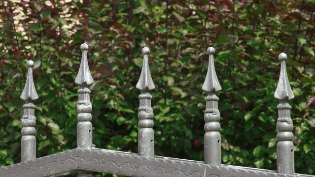 Black decorative forged Iron fence with sharp peaks and green leaves