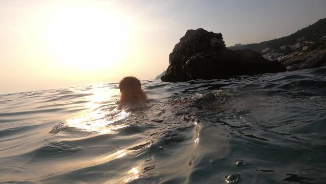 Dog Nova Scotia Duck Tolling Retriever in the water. Pet swims in the sea. On and Underwater shot. High quality 4k footage