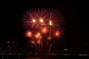 fireworks in the night sky