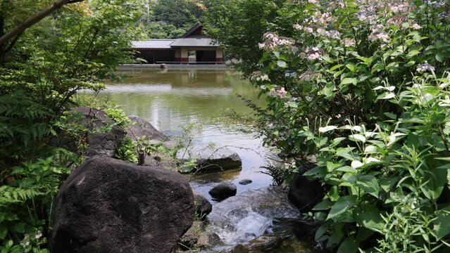 大名屋敷跡に造られた日本庭園の風景。