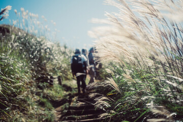 ススキのある山道でのハイキング