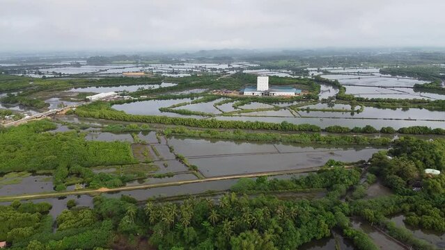 Drone Footage overlooking fish ponds or wetlands and greeneries in the Philippines on a cloudy morning