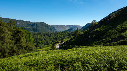 Naklejka premium Paysage de la Région des Lacs en Angleterre autour du lac de Derwentwater