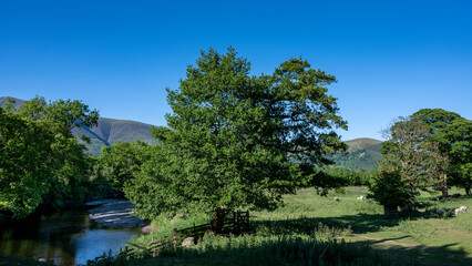 Paysage nature de la rivière Derwent près de Keswick dans la Région des Lacs en Angleterre