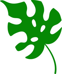 Cute hand drawn monsera leaf.