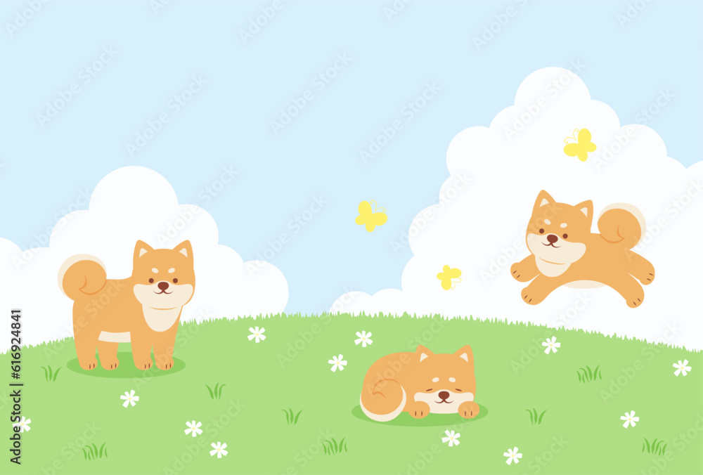 Wall mural spring vector background with shiba dogs on a green field for banners, cards, flyers, social media w