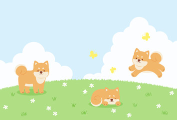 Obraz na płótnie Canvas spring vector background with shiba dogs on a green field for banners, cards, flyers, social media wallpapers, etc.