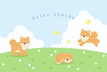 spring vector background with shiba dogs on a green field for banners, cards, flyers, social media wallpapers, etc.