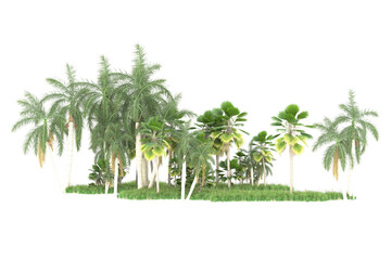 Palm trees isolated on transparent background. 3d rendering - illustration