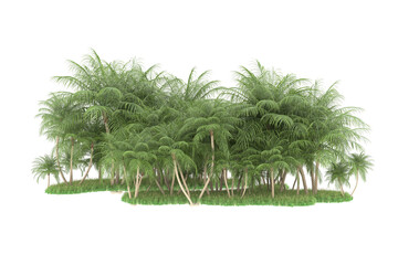 Tropical forest isolated on transparent background. 3d rendering - illustration