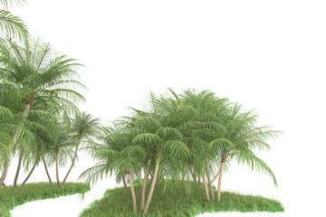 Fototapeta premium Tropical forest isolated on transparent background. 3d rendering - illustration