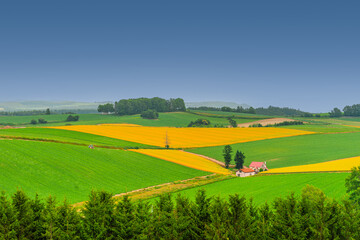 Fototapeta premium 홋카이도, 농촌풍경