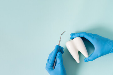 Dentist hands with healthy white tooth model and dentist mirror on a blue background. Copy space. Teeth care, dental treatment, tooth extraction, implant concept. Dental clinic special offer - obrazy, fototapety, plakaty