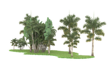 Tropical forest isolated on transparent background. 3d rendering - illustration