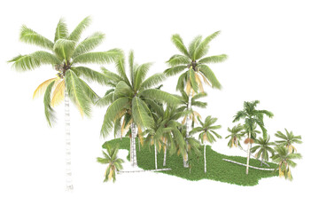 Tropical forest isolated on transparent background. 3d rendering - illustration