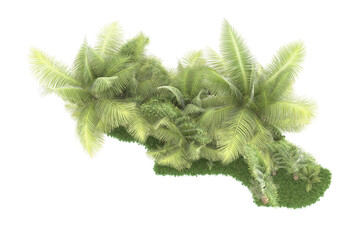 Tropical forest isolated on transparent background. 3d rendering - illustration